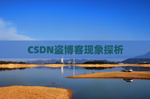 CSDN盗博客现象探析 CSDN盗博客现象探析